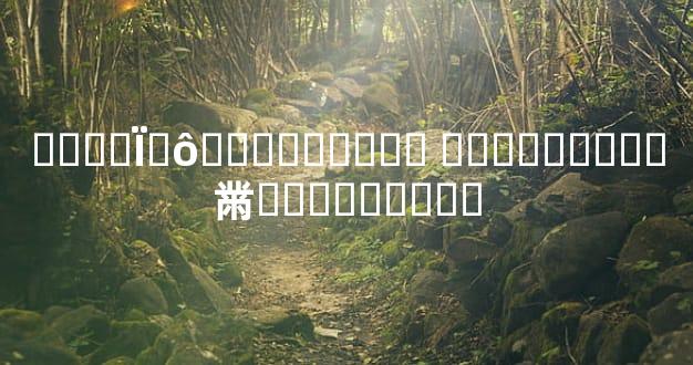 ����ΪʲôԽ��Խ��׼�� �ִ�����ʧ�黹����֪����